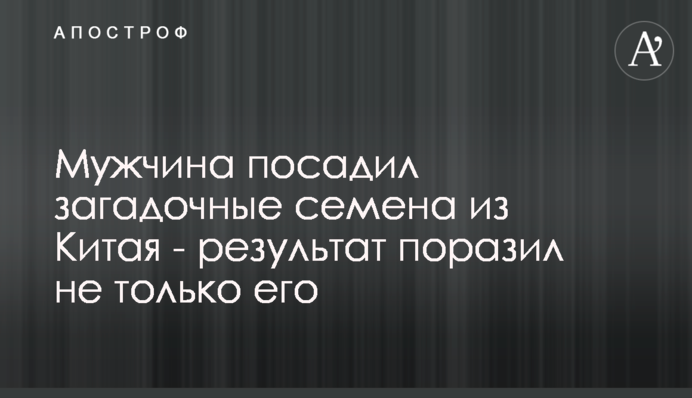 Мужчина посадил загадочные семена из Китая - результат поразил не только его
