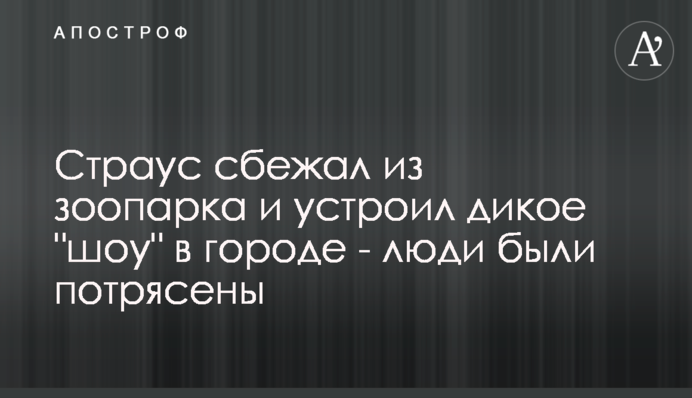 Страус сбежал из зоопарка и устроил дикое 