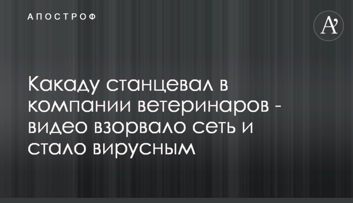 Какаду станцював в компанії ветеринарів - відео підірвало мережу і стало вірусним