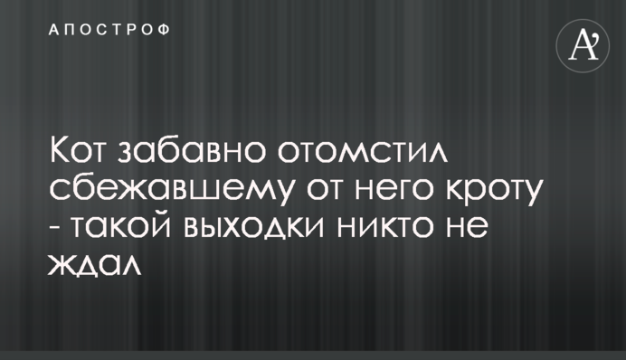 Кіт кумедно помстився кроту, який втік від нього - такої витівки ніхто не чекав