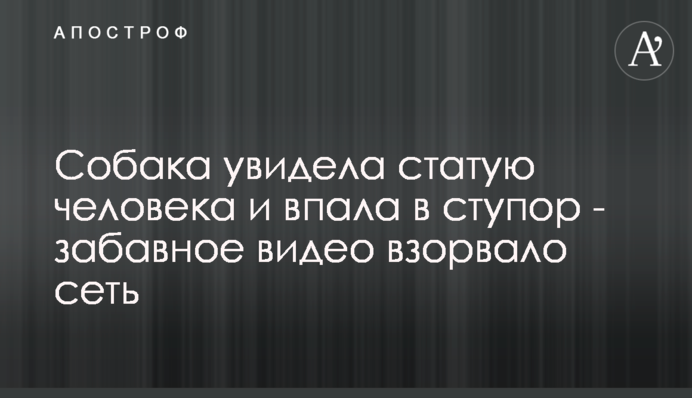 Собака побачив статую людини і впав у ступор - веселе відео підірвало мережу