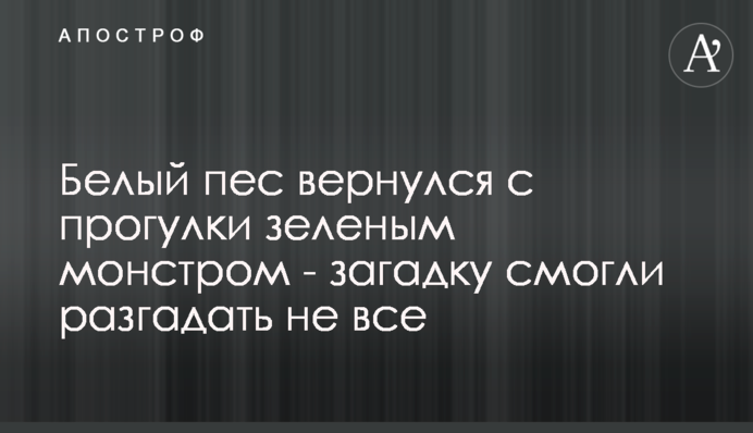 Білий пес повернувся з прогулянки зеленим монстром - загадку змогли розгадати не всі