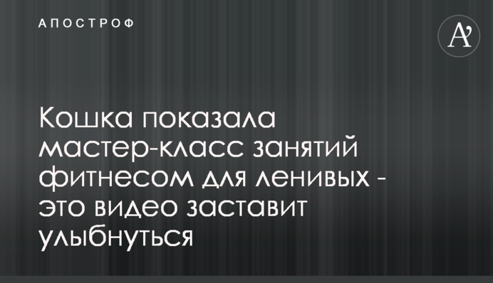 Кішка показала майстер-клас занять фітнесом для ледачих - це відео змусить посміхнутися