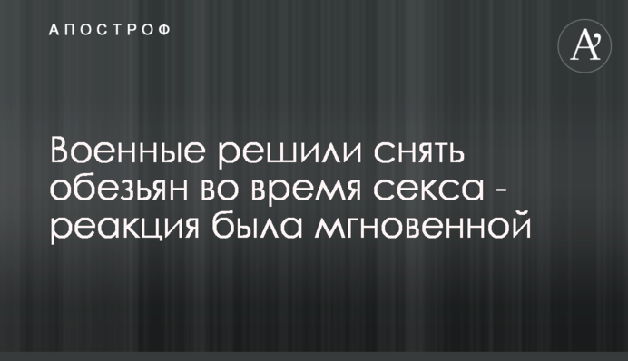 Військові вирішили зняти мавп під час сексу - реакція була миттєвою