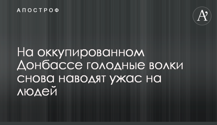 На окупованому Донбасі голодні вовки знову наводять жах на людей