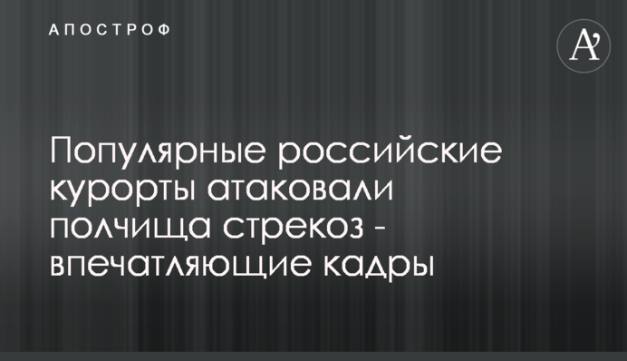 Популярні російські курорти атакували полчища бабок - вражаючі кадри