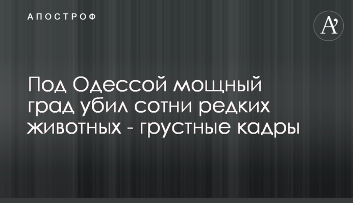 Під Одесою потужний град вбив сотні рідкісних тварин - сумні кадри