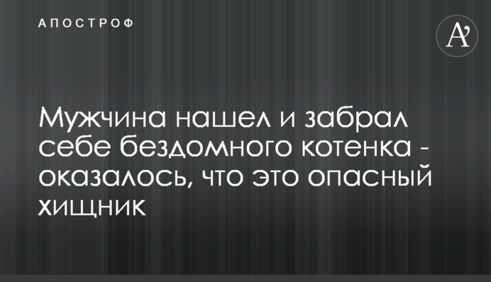 Мужчина нашел и забрал себе бездомного котенка - оказалось, что это опасный хищник