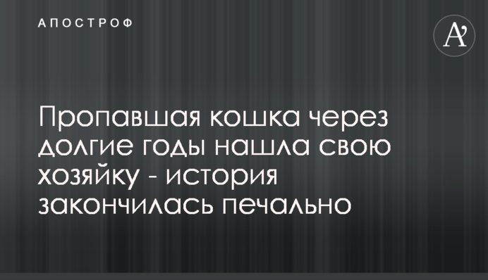 Пропала кішка через довгі роки знайшла свою господиню - історія закінчилася сумно
