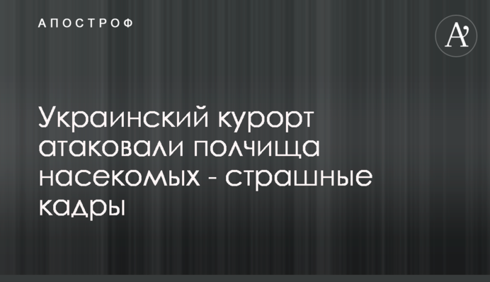 Український курорт атакували зграї комах - страшні кадри