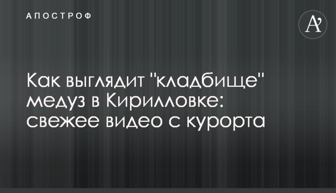 Как выглядит 