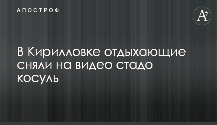 У Кирилівці відпочиваючі зняли на відео стадо козуль
