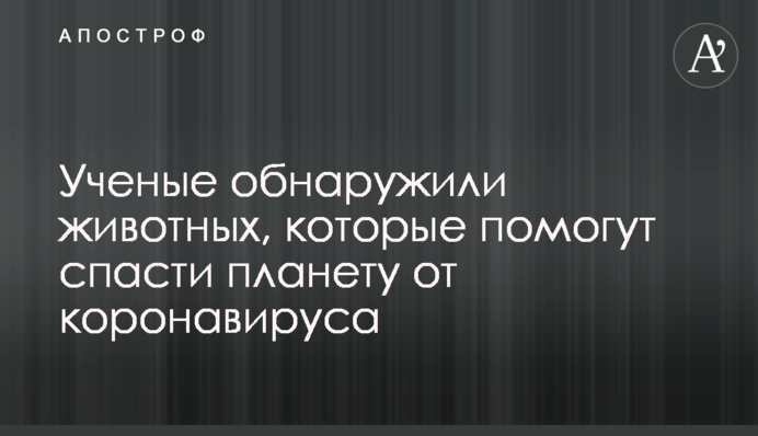 Ученые обнаружили животных, которые помогут спасти планету от коронавируса