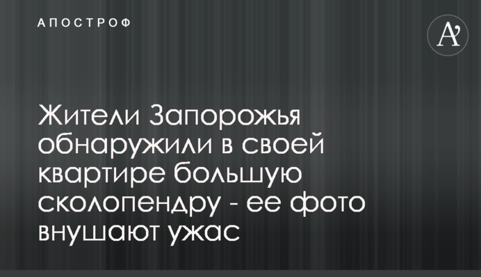 Мешканці Запоріжжя виявили в своїй квартирі велику сколопендру - її вигляд вселяє жах