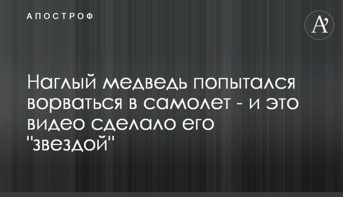 Наглый медведь попытался ворваться в самолет - и это видео сделало его 