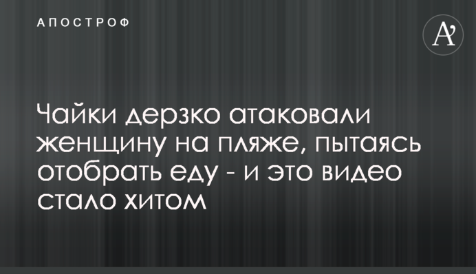 Чайки дерзко атаковали женщину на пляже, пытаясь отобрать еду - и это видео стало хитом
