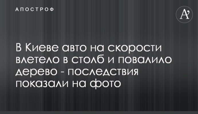 У Києві авто на швидкості влетіло в стовп і повалило дерево - наслідки показали на фото