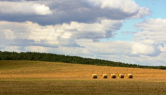 В Украину идет похолодание: синоптик рассказала, какой погоды ждать до конца недели
