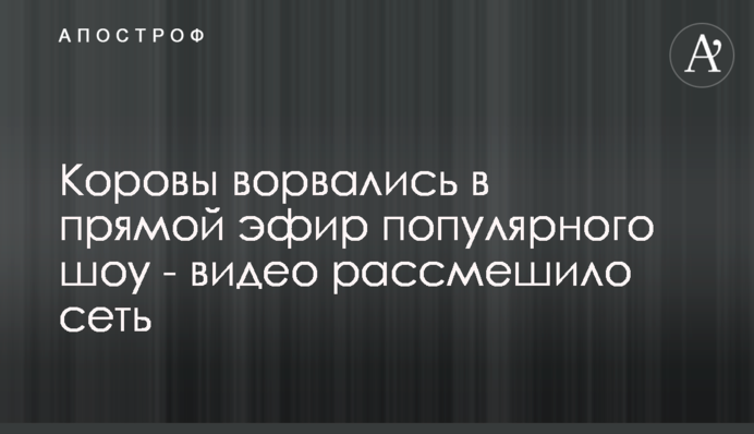 Коровы ворвались в прямой эфир популярного шоу - видео рассмешило сеть