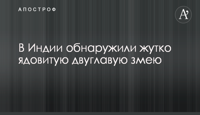 В Индии обнаружили жутко ядовитую двуглавую змею