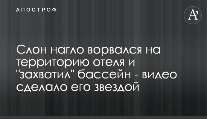 Слон нагло ворвался на территорию отеля и 