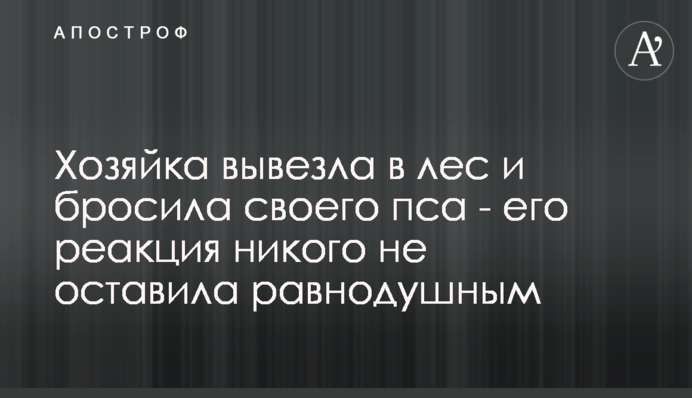 Власниця вивезла в ліс і кинула свого пса - його реакція нікого не залишила байдужим