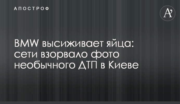 BMW висиджує яйця: мережі підірвало фото незвичайної ДТП в Києві