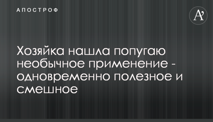 Власниця знайшла папузі незвичайне застосування - одночасно корисне і смішне