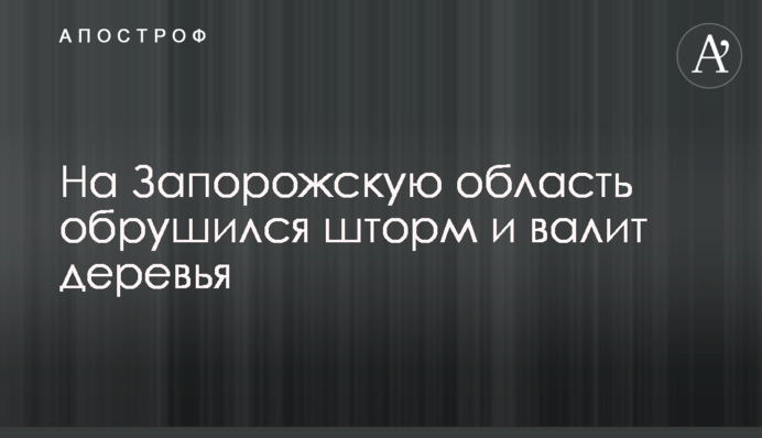 На Запорізьку область обрушився шторм і валить дерева