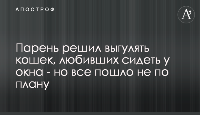 Хлопець вирішив вигуляти кішок, які любили сидіти біля вікна - але все пішло не за планом