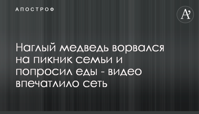 Нахабний ведмідь увірвався на пікнік сім'ї і попросив їжі - відео вразило мережу