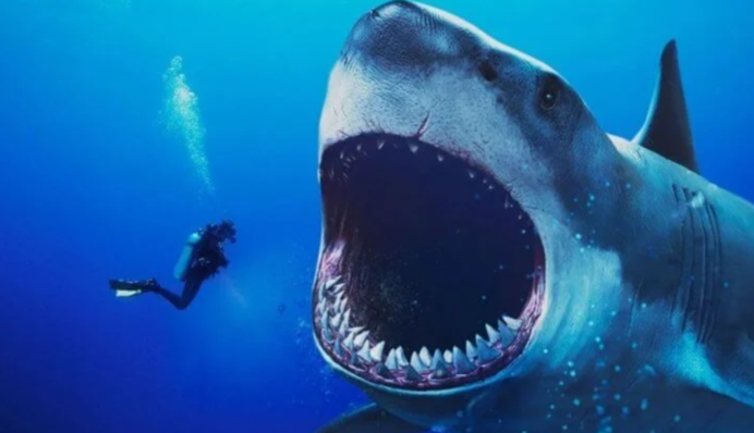 Чоловік дивом відбив смертоносну атаку акули - такої витівки вона не чекала