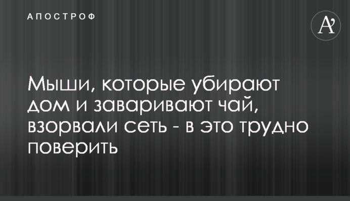 Миші, які прибирають будинок і заварюють чай, підірвали мережу - в це важко повірити