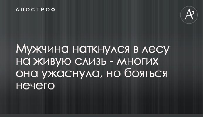 Мужчина наткнулся в лесу на живую слизь - многих она ужаснула, но бояться нечего