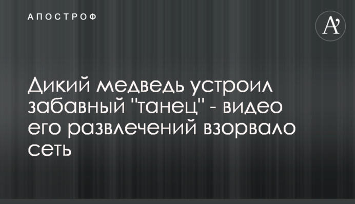 Дикий ведмідь влаштував кумедний 