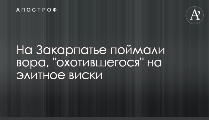 На Закарпатті впіймали злодія, який 