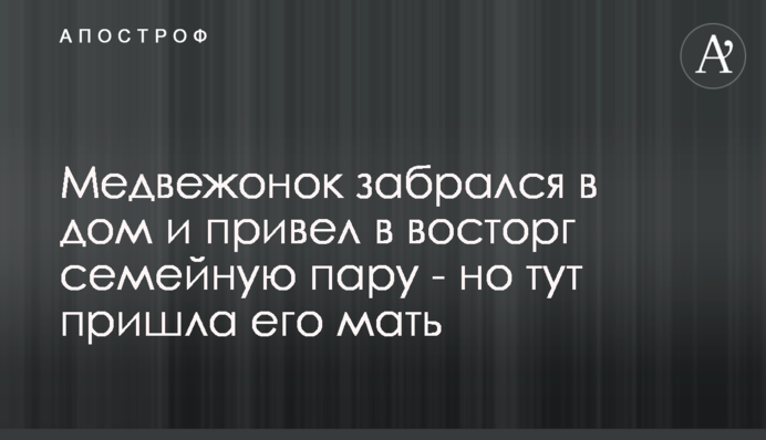 Ведмедик забрався в будинок і викликав захоплення у сімейної пари - але тут прийшла його мати