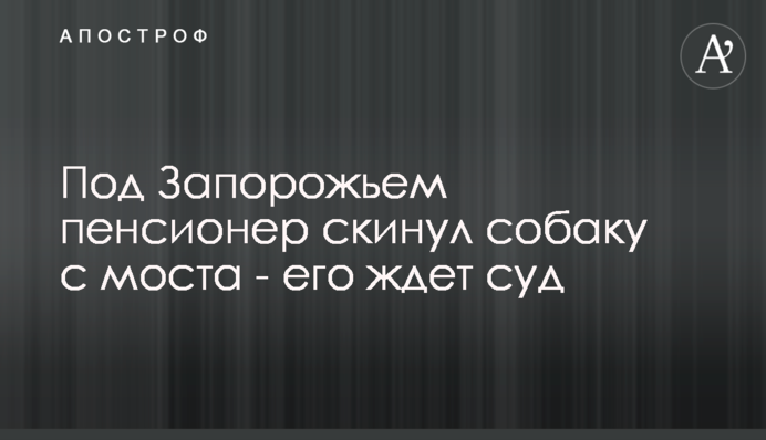 Під Запоріжжям пенсіонер скинув собаку з моста - на нього чекає суд