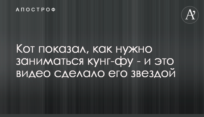 Кіт показав, як потрібно займатися кунг-фу - і це відео зробило його зіркою