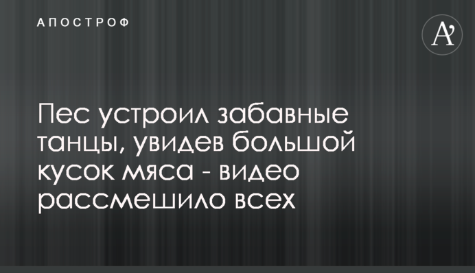 Пес влаштував кумедні танці, побачивши великий шматок 