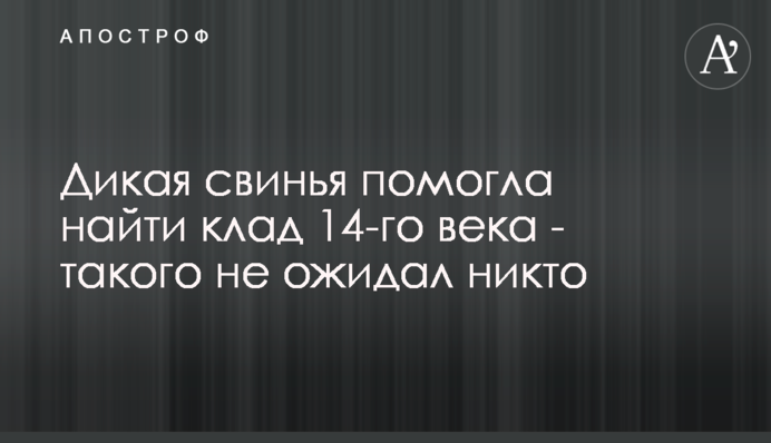 Дика свиня допомогла знайти скарб 14-го століття - такого не очікував ніхто