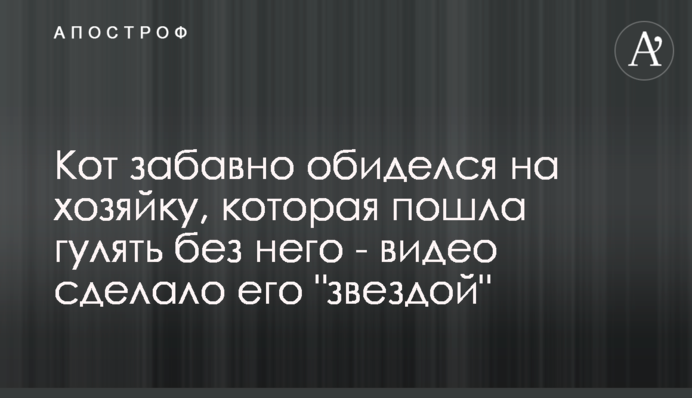 Кот забавно обиделся на хозяйку, которая пошла гулять без него - видео сделало его 