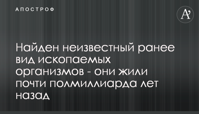 Найден неизвестный ранее вид ископаемых организмов - они жили почти полмиллиарда лет назад