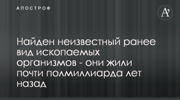 Знайдено невідомий раніше вид викопних організмів - вони жили майже півмільярда років тому