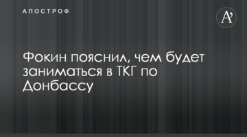 Фокин пояснил, чем будет заниматься в ТКГ по Донбассу
