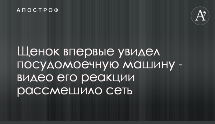 Цуценя вперше побачило посудомийну машину - відео його реакції розсмішило мережу