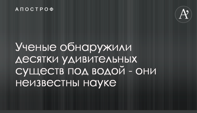 Вчені виявили десятки дивовижних істот під водою - вони невідомі науці