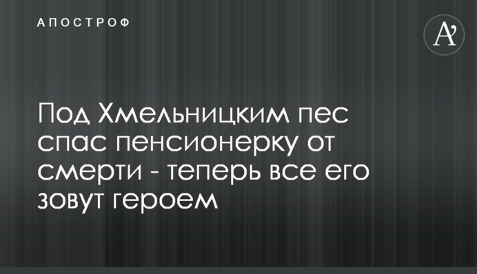 Під Хмельницьким пес врятував пенсіонерку від смерті - тепер всі його звуть героєм