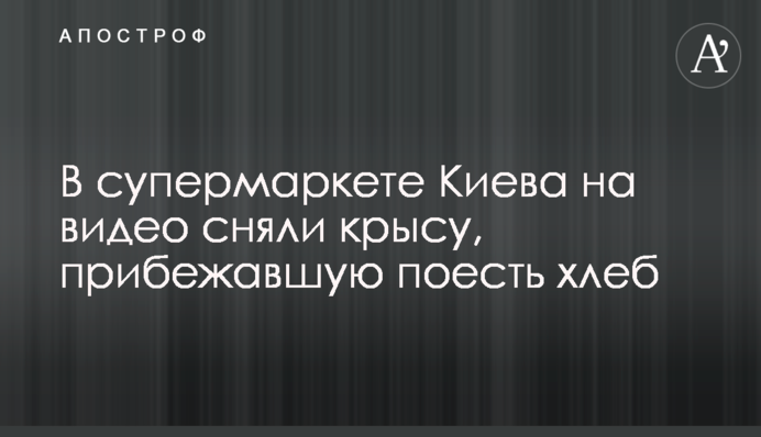 У супермаркеті Києва на відео зняли щура, що прибіг поїсти хліба