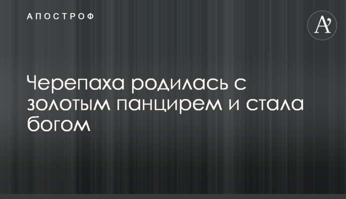 Черепаха народилася з золотим панциром і стала богом